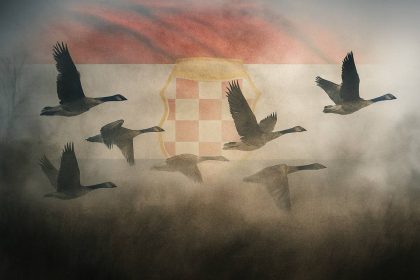 Jato gusaka leti u maglu, s poluprozirnom zastavom Herceg-Bosne u pozadini.