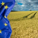 Prostrana žitna bolja s lijeve strane polja prekriva zastava Europe.