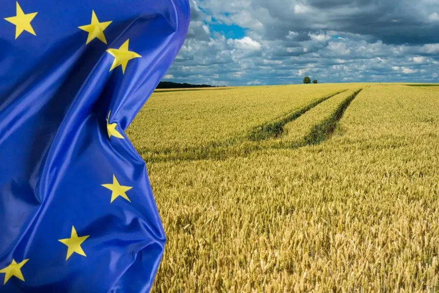 Prostrana žitna bolja s lijeve strane polja prekriva zastava Europe.