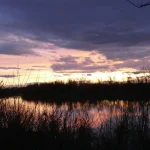 Zalazak sunca u Posavini. Panorama rijeke Save i obale u smiraj dana.