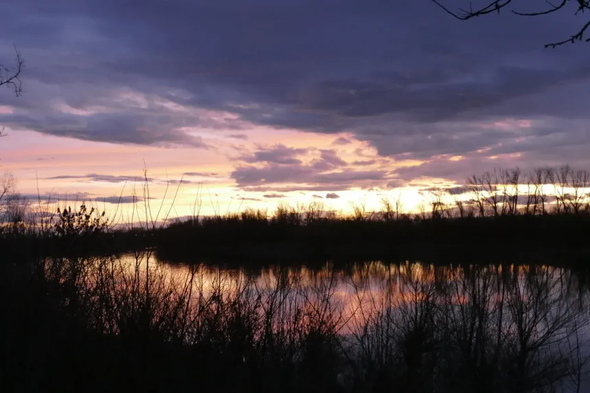 Zalazak sunca u Posavini. Panorama rijeke Save i obale u smiraj dana.